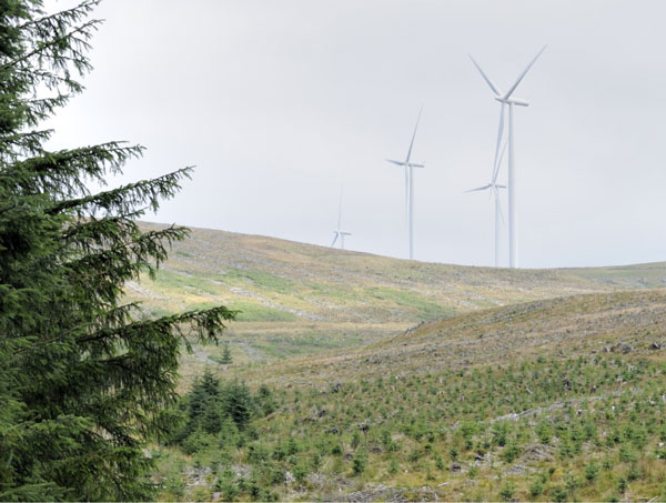 windmills - renewable energy sources